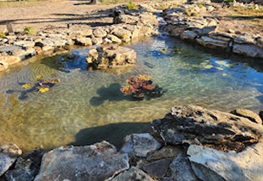 2_water_garden_9_Lagrange_tx