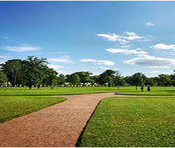 landscaper-01-service.jpg (4)